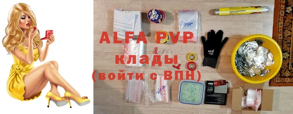 apvp Верея