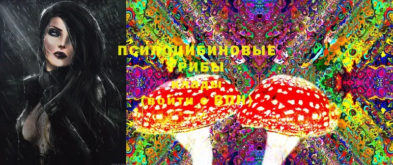 Псилоцибиновые грибы Magic Shrooms  Североуральск 